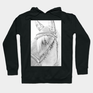 Haflinger as a pencil drawing Hoodie